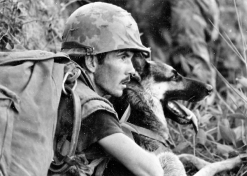 Vietnam Scout Dog and Soldier