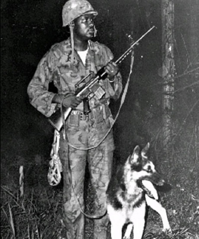 Vietnam Scout Dog and Soldier