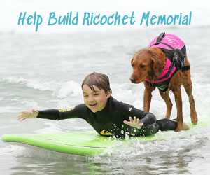 Surf Dog Ricochet